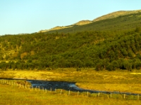 Grimsdalsvegen